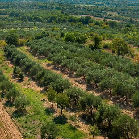 Manda Adriatic * Skradin