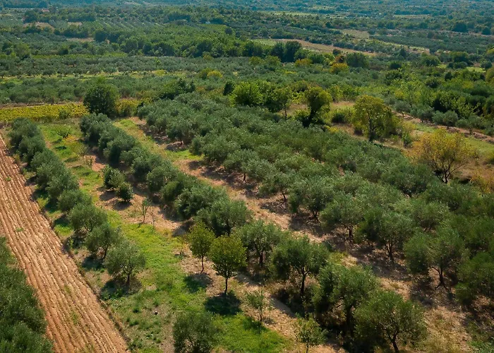 Manda Adriatic Heated Pool * Skradin